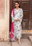 IVY-1-A - Saira Shakira