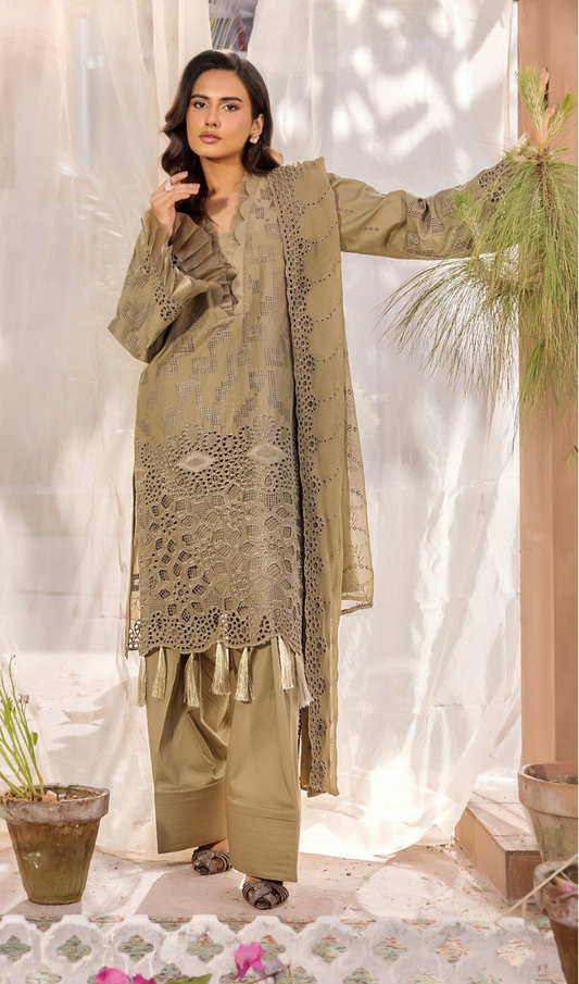 Noor E Chasham by Aalaya Summer Vol 05 '25 D 08 - Aalaya