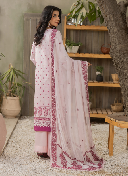 02 - Pankh Premium Collection by Smile