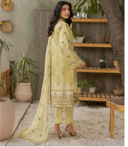 03 - Pankh Premium Collection by Smile