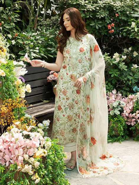 Peony - Yards