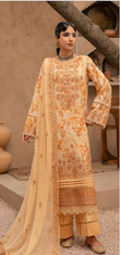 Design 02 - Pankh Bahar